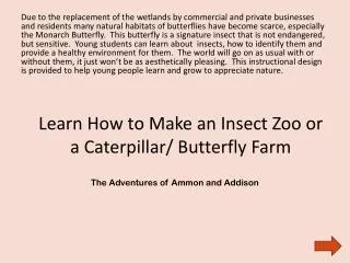 Learn How to Make an Insect Zoo or a Caterpillar/ Butterfly Farm