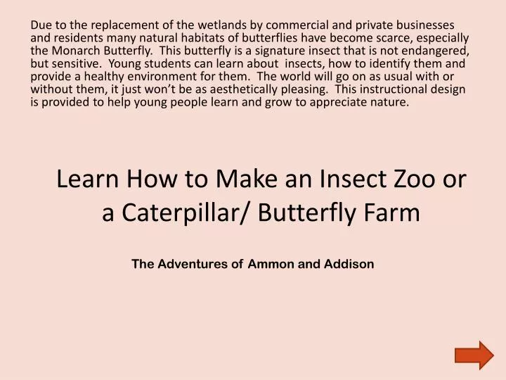 learn how to make an insect zoo or a caterpillar butterfly farm