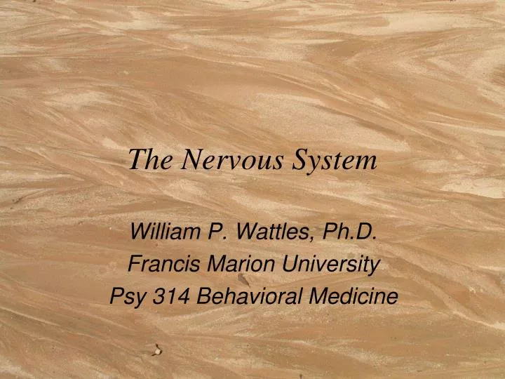 the nervous system