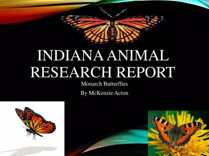 indiana animal research report