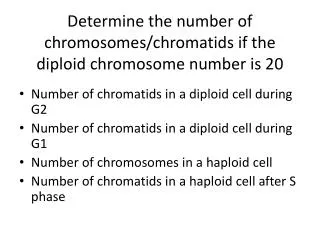 Determine the number of chromosomes/ chromatids if the diploid chromosome number is 20