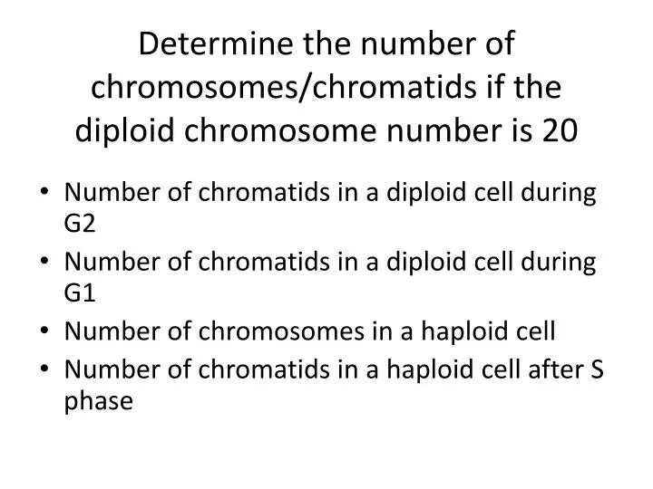 determine the number of chromosomes chromatids if the diploid chromosome number is 20