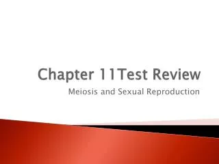 Chapter 11Test Review
