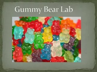 Gummy Bear Lab