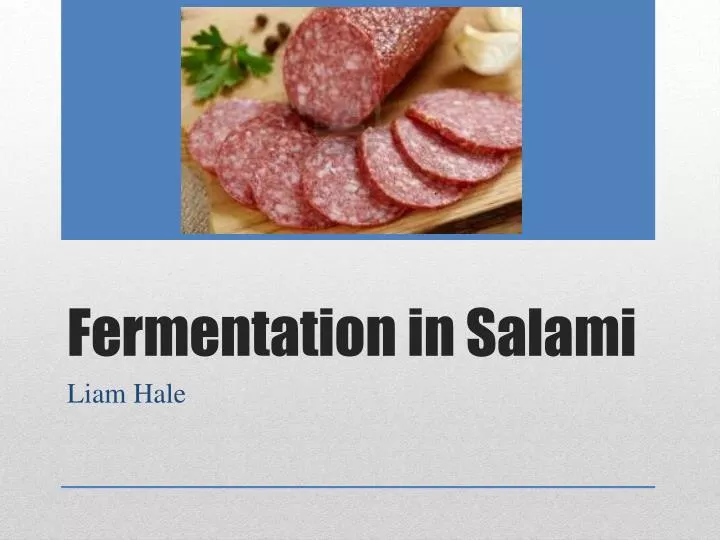 fermentation in salami