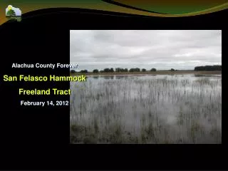 Alachua County Forever San Felasco Hammock Freeland Tract February 14 , 2012