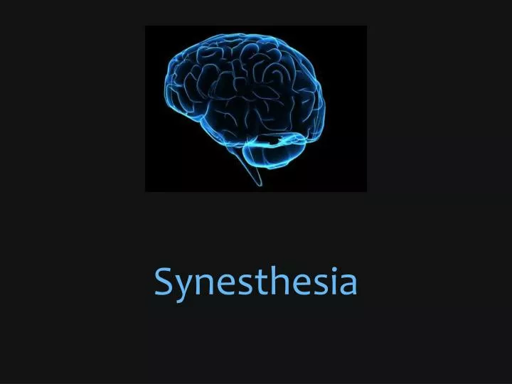 Ppt Synesthesia Powerpoint Presentation Free Download Id 2430629