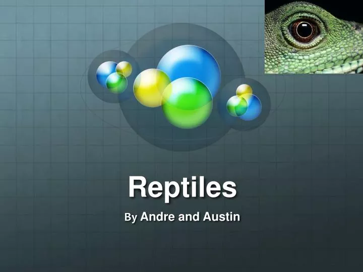 reptiles