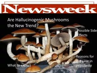 Are Hallucinogenic Mushrooms the New Trend?