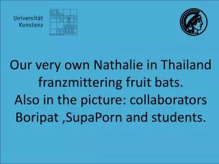 Our very own Nathalie in Thailand franzmittering fruit bats .