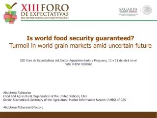 Is world food security guaranteed? Turmoil in world grain markets amid uncertain future