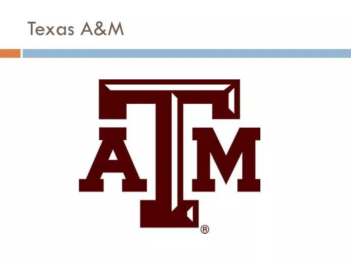 texas a m