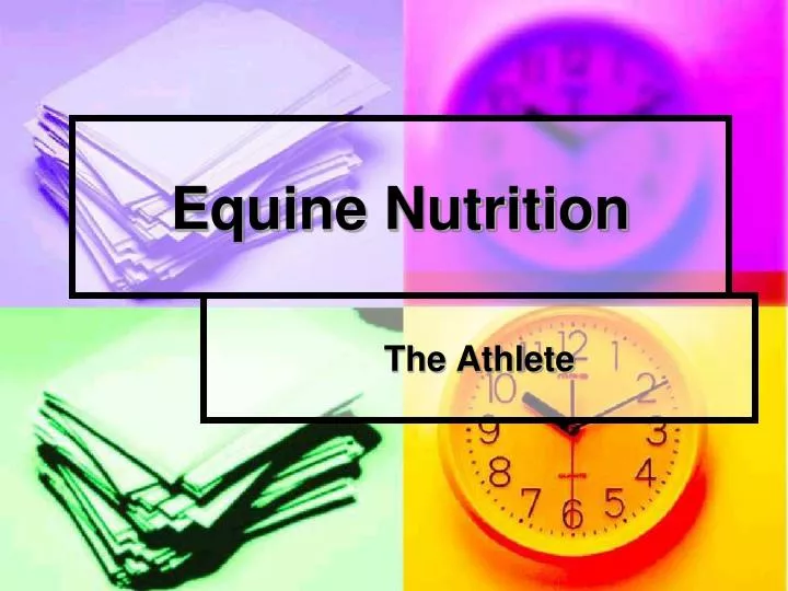 equine nutrition