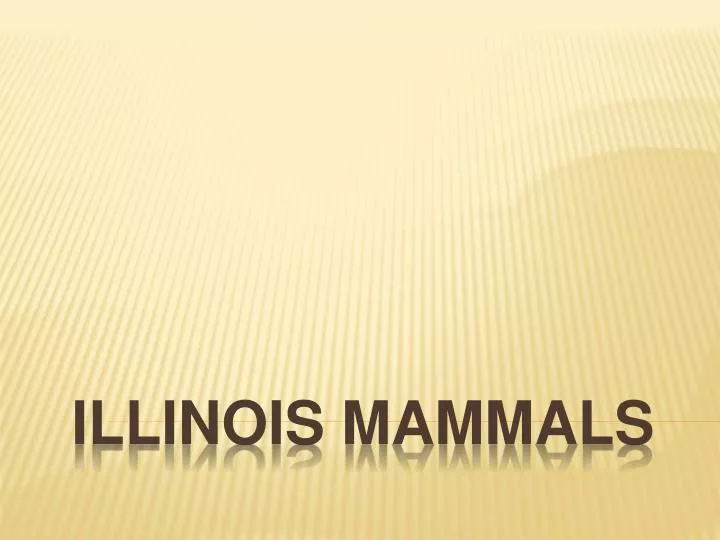 illinois mammals