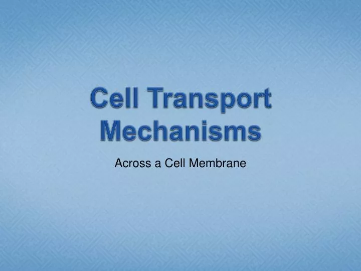 cell transport mechanisms