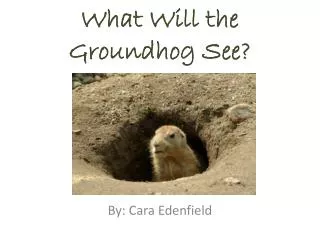 What Will the Groundhog See?