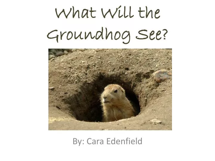 what will the groundhog see