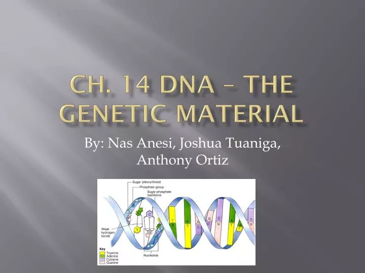 ch 14 dna the genetic material