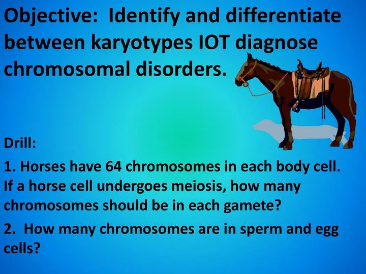 objective identify and differentiate between karyotypes iot diagnose chromosomal disorders