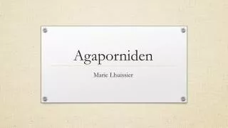 marie lhuissier