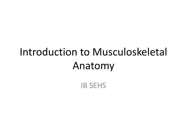introduction to musculoskeletal anatomy