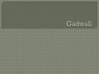 gadwall