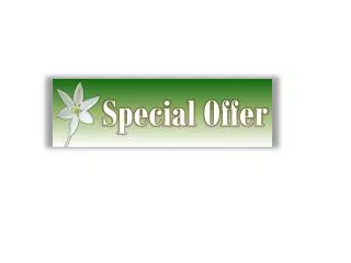 Special Offer