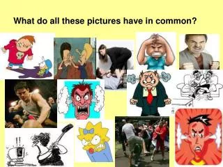 What do all these pictures have in common?