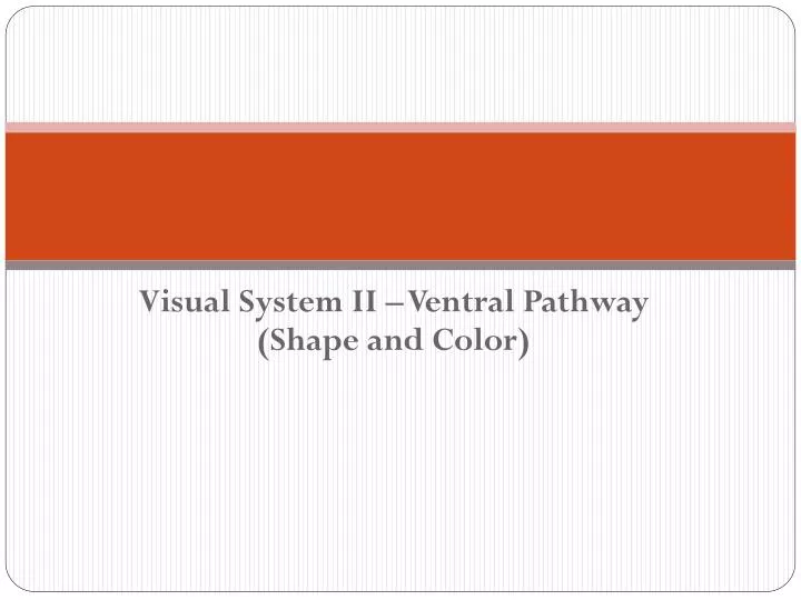 visual system ii ventral pathway shape and color