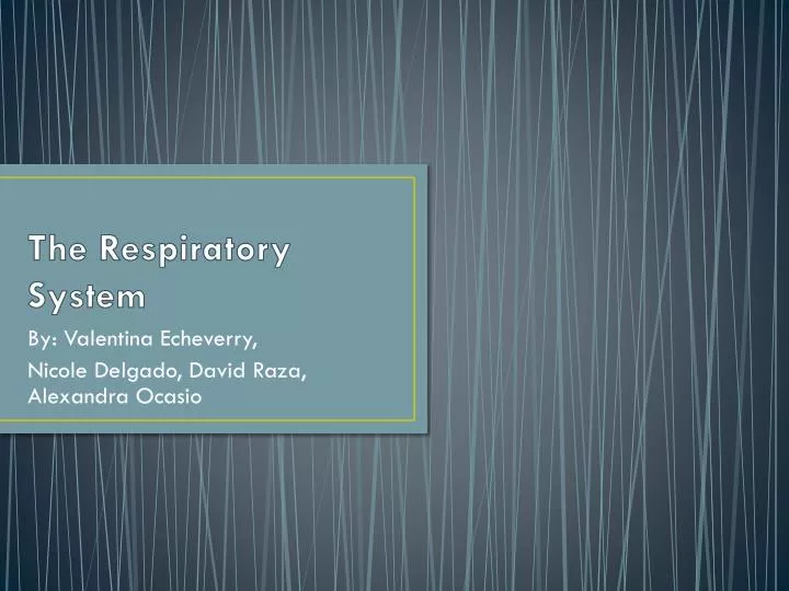 the respiratory system