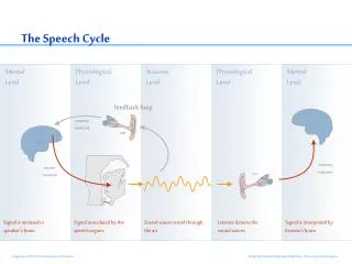 The Speech Cycle