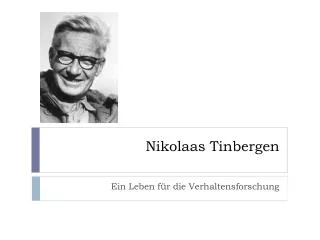 nikolaas tinbergen