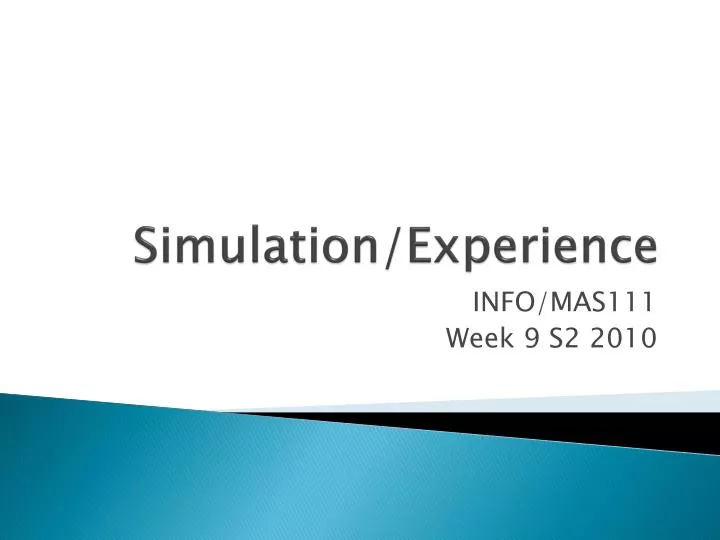 simulation experience