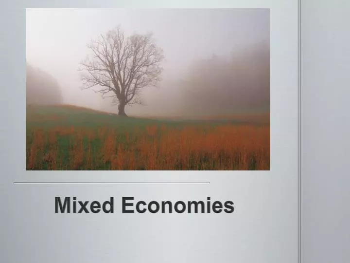 mixed economies