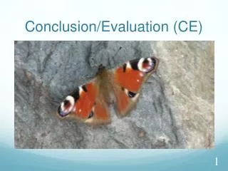 conclusion evaluation ce