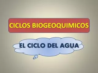 ciclos biogeoquimicos