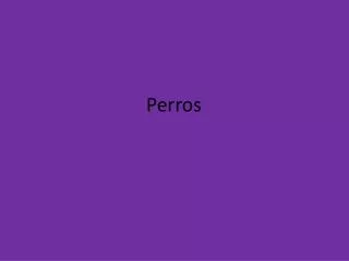 perros