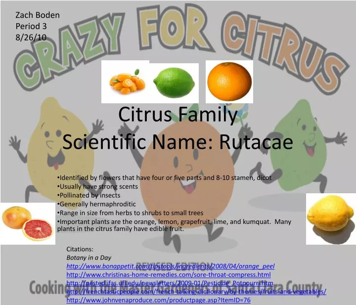 citrus family scientific name rutacae