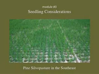 module #3 Seedling Considerations