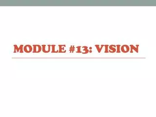 Module #13: Vision