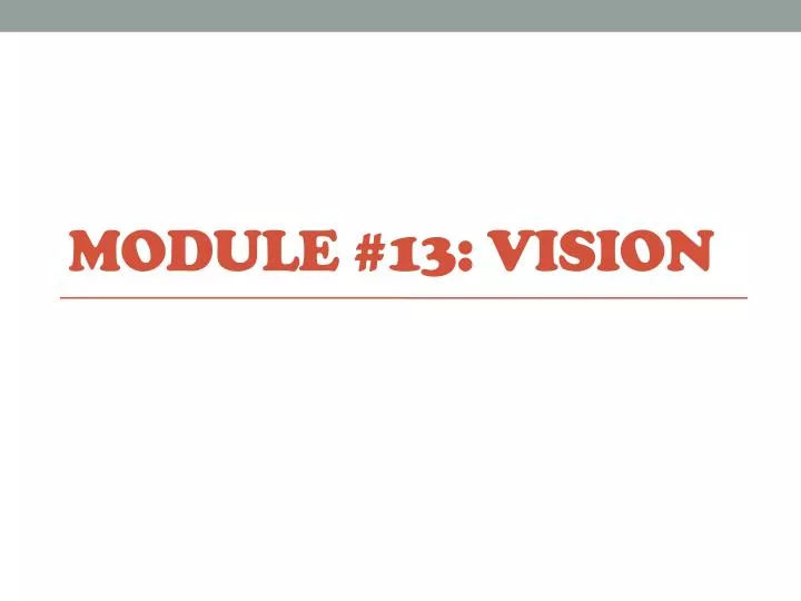 module 13 vision