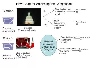 Flow Chart for Amending the Constitution