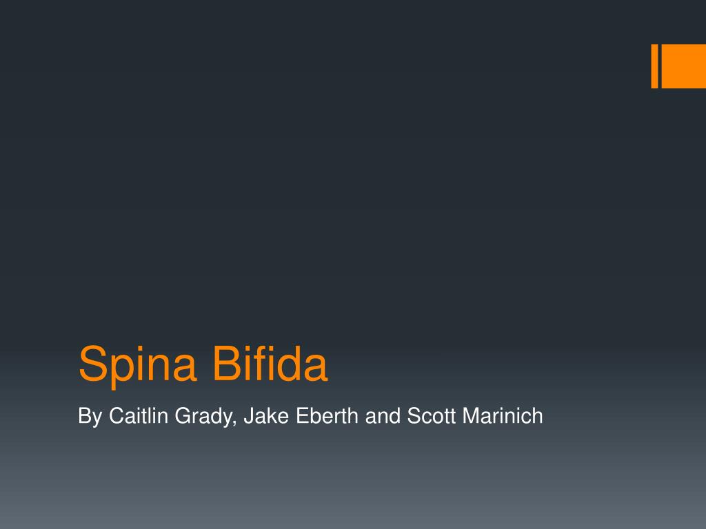 PPT - Spina Bifida PowerPoint Presentation, free download - ID:2431870