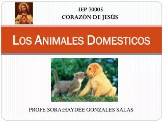 l os a nimales d omesticos