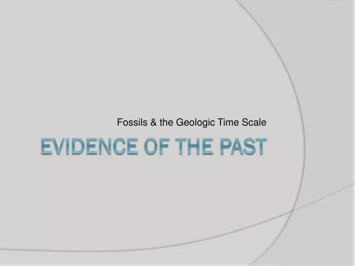 fossils the geologic time scale