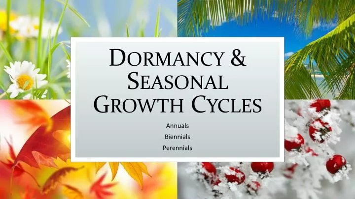 dormancy seasonal growth cycles