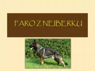 faro z neiberku