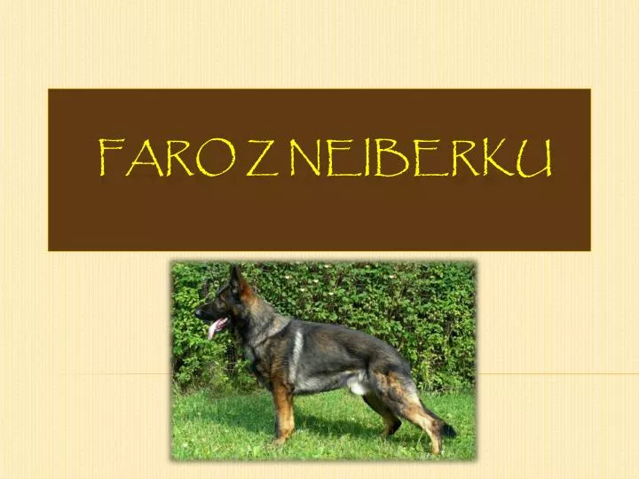 faro z neiberku