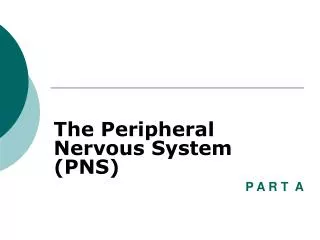 The Peripheral Nervous System (PNS)