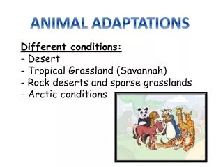 ANIMAL ADAPTATIONS